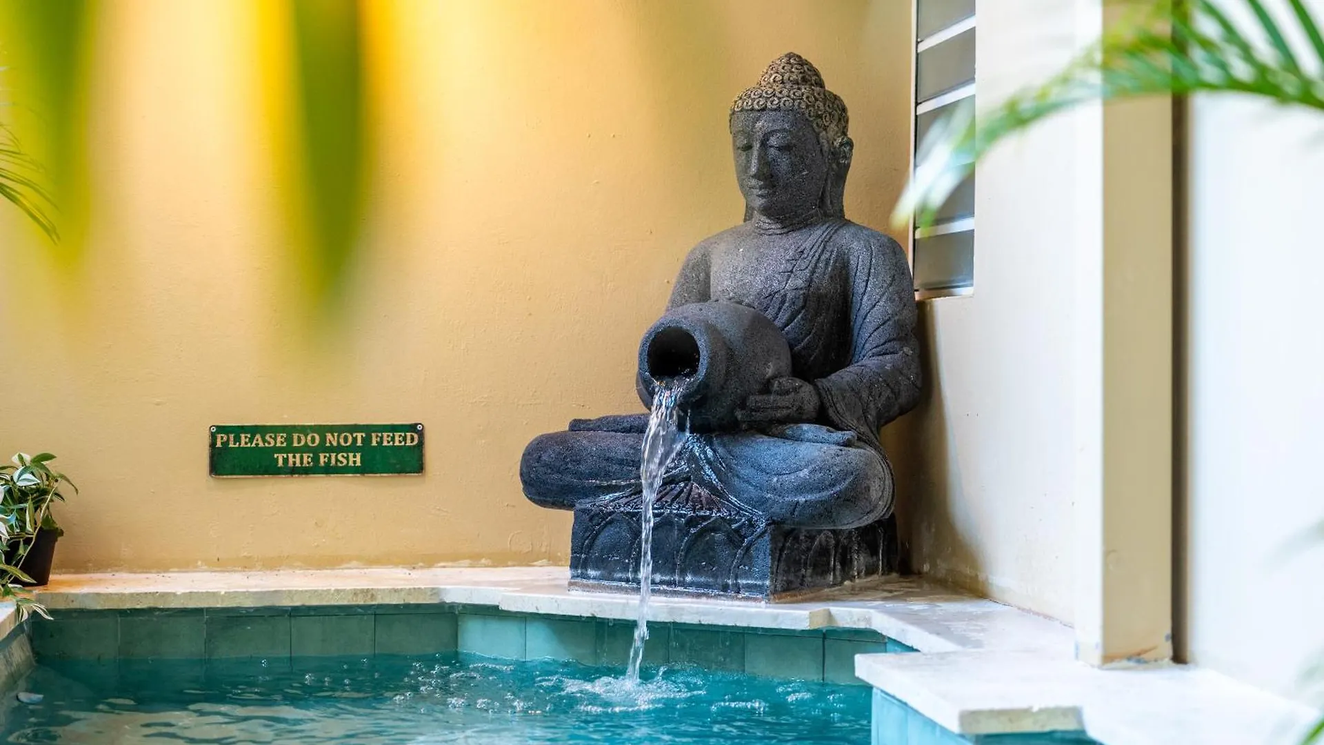 Ayana Inn Pr San Juan