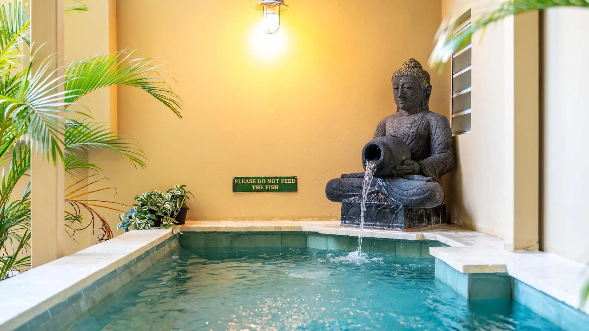 Ayana Inn Pr San Juan